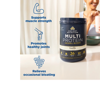 Thumbnail for MULTI PROTEIN