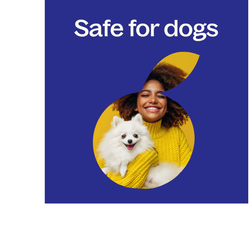 Hangover Recovery Essential Oil Blend