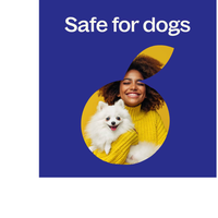 Thumbnail for Hangover Recovery Essential Oil Blend