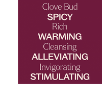Thumbnail for ORGANIC CLOVE BUD ESSENTIAL OIL