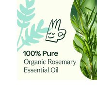 Thumbnail for ORGANIC ROSEMARY 1.8 CINEOLE ESSENTIAL OIL