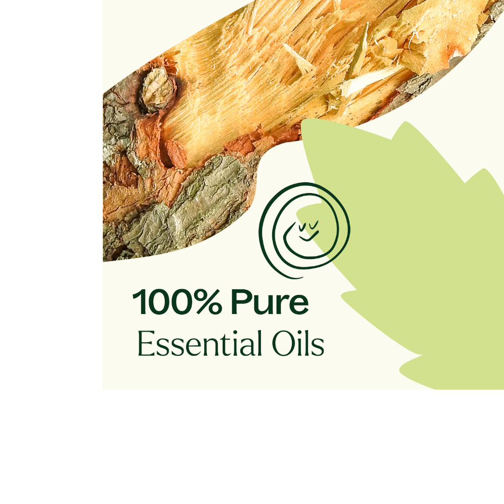 Muscle Aid Essential Oil Blend