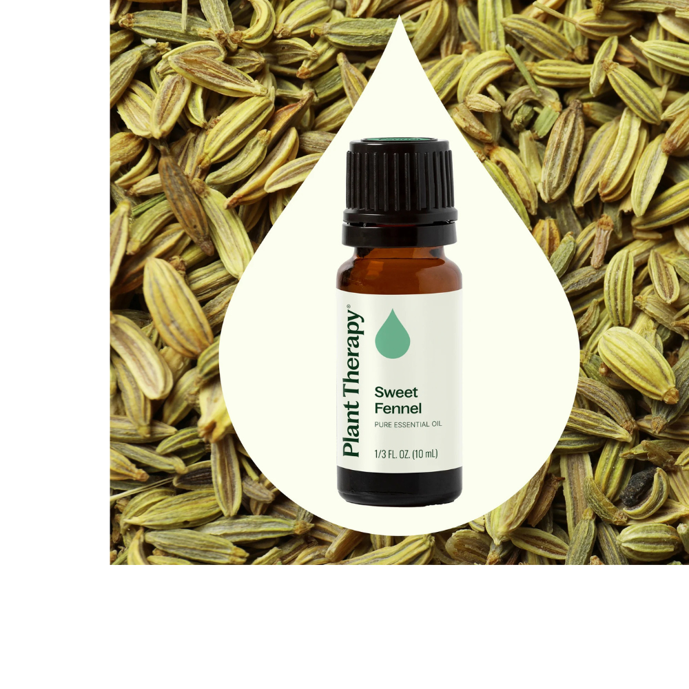 Sweet Fennel Essential Oil