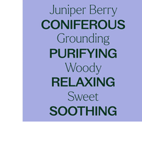 Thumbnail for JUNIPER BERRY ESSENTIAL OIL