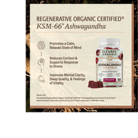 Thumbnail for Ashwagandha Gummies - 25 Servings