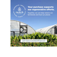 Thumbnail for Multi Collagen Advanced Lean 8 Single Serving Packets