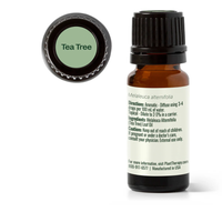 Thumbnail for ACEITE ESENCIAL DE ÁRBOL DE TÉ