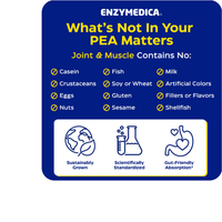 Thumbnail for JOINT & MUSCLE PEA PHYTOSOME