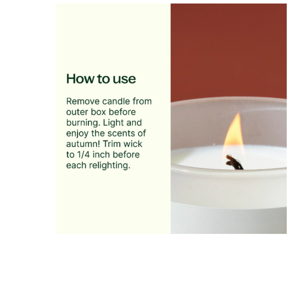 Plant Therapy brand Warm Pumpkin Spice Naturally Scented Candle