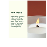 Thumbnail for Plant Therapy brand Warm Pumpkin Spice Naturally Scented Candle