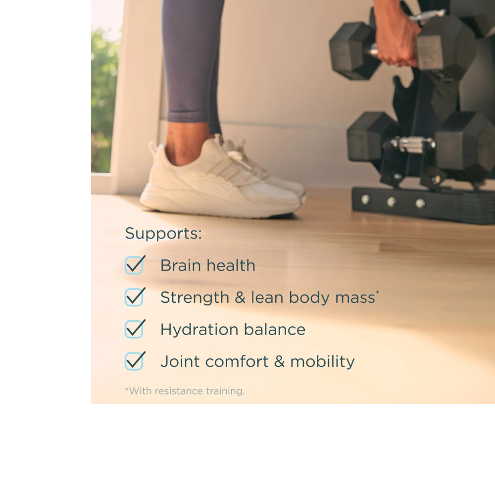 CREATINE + COLLAGEN STICKS PACKS