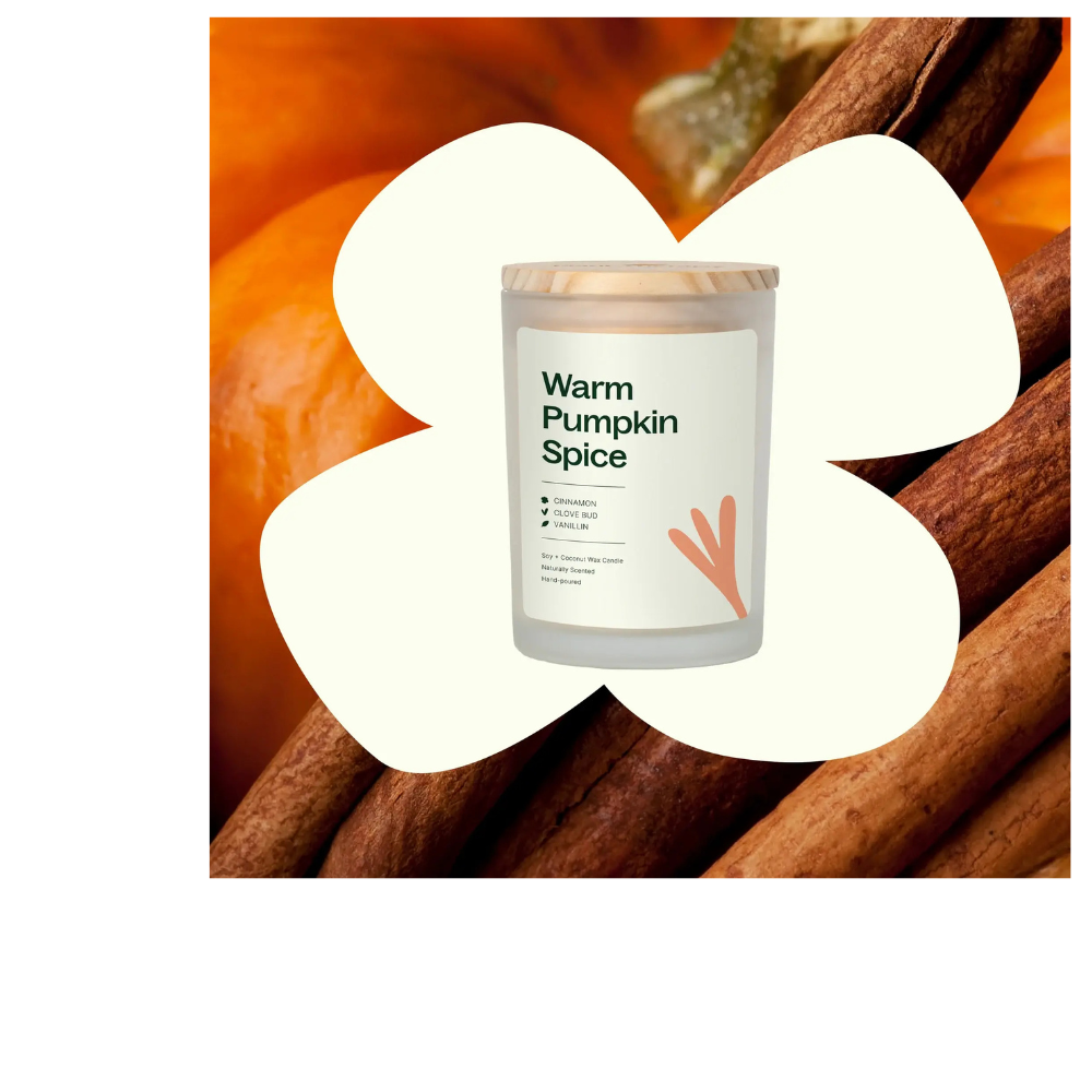 Plant Therapy brand Warm Pumpkin Spice Naturally Scented Candle
