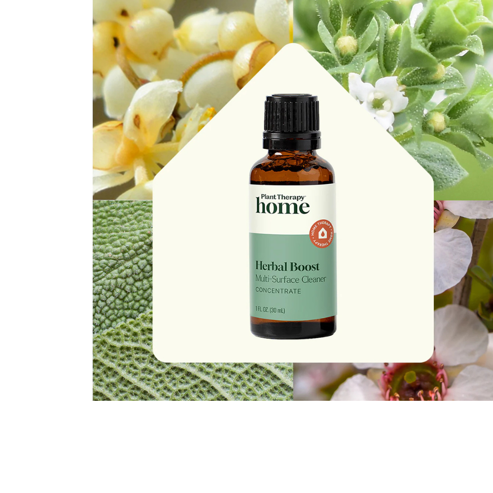 HERBAL BOOST MULTI-SURFACE CLEANER CONCENTRATE