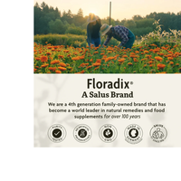 Thumbnail for Floradix Iron + Herbs Liquid Herbal Supplement