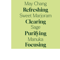 Thumbnail for HERBAL BOOST MULTI-SURFACE CLEANER CONCENTRATE