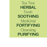 Thumbnail for ACEITE ESENCIAL DE ÁRBOL DE TÉ