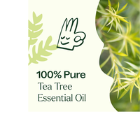 Thumbnail for ACEITE ESENCIAL DE ÁRBOL DE TÉ
