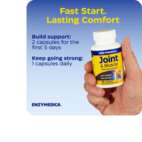 Thumbnail for JOINT & MUSCLE PEA PHYTOSOME