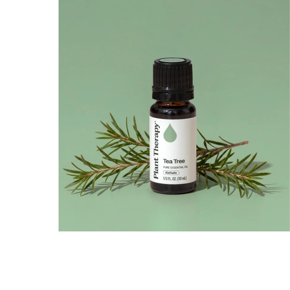 ACEITE ESENCIAL DE ÁRBOL DE TÉ