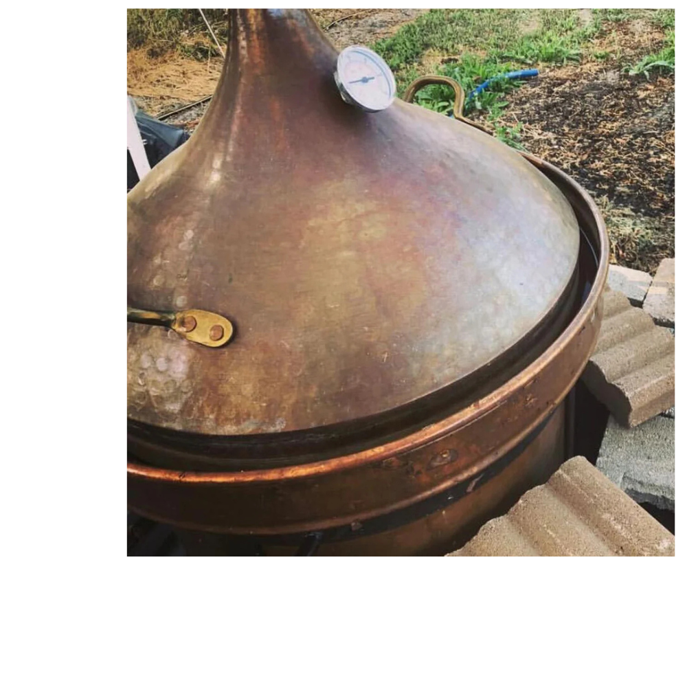 Sonoma Rose Petal HydroSoul