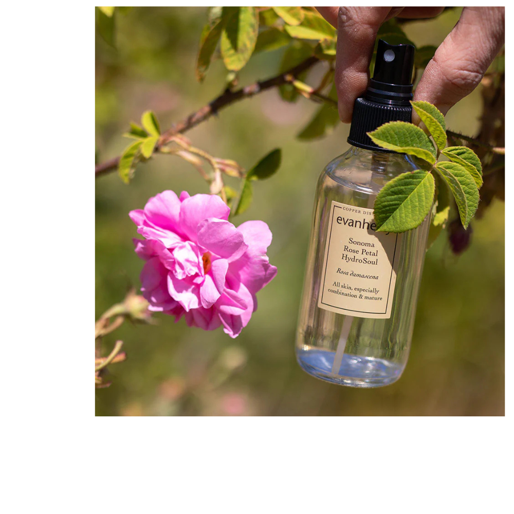 Sonoma Rose Petal HydroSoul