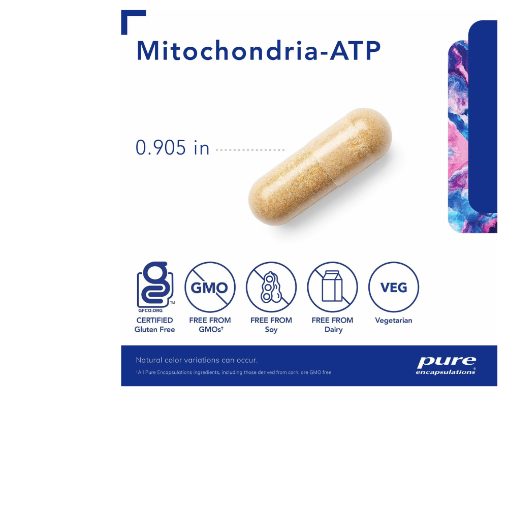 Mitochondria-ATP