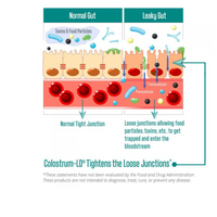 Thumbnail for Colostrum-LD Powder