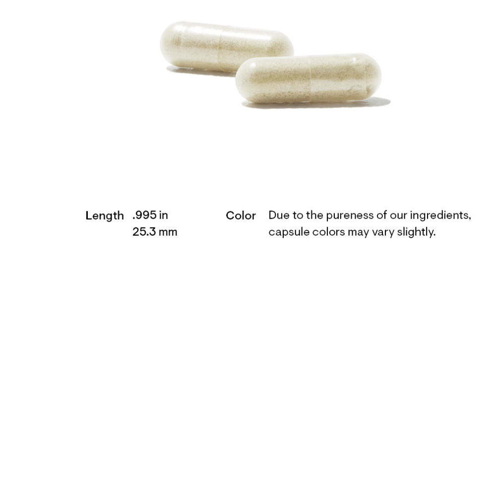 L-Arginine Plus (formerly Perfusia Plus)