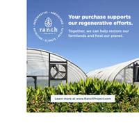 Thumbnail for MULTI COLLAGEN ADVANCED LONGEVITY