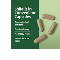 Thumbnail for Shilajit