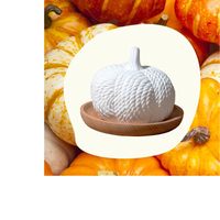 Thumbnail for PUMPKIN PASSIVE DIFFUSER