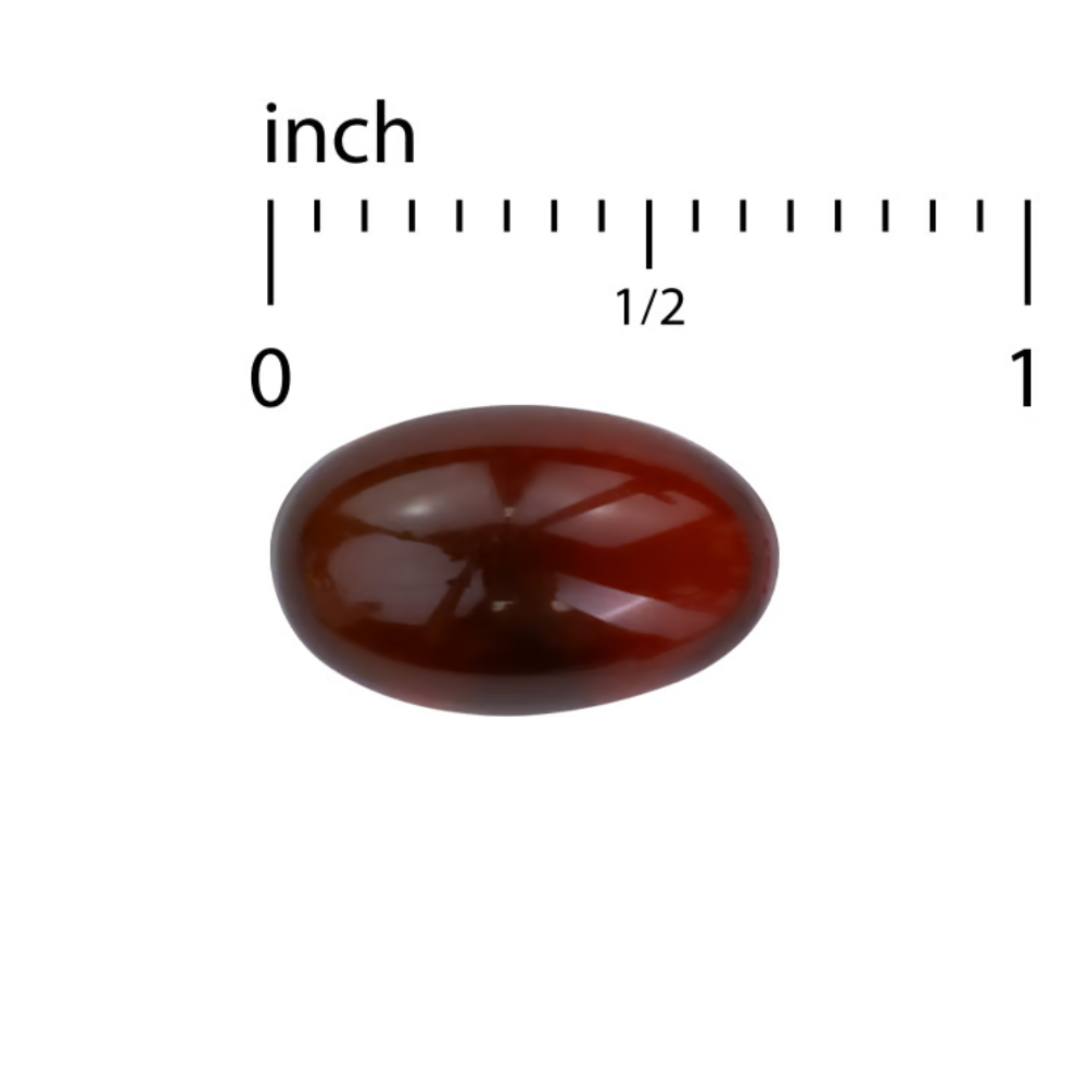 BACTERIL