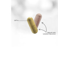 Thumbnail for SBO Probiotic+ 50 Billion CFUs