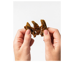 Thumbnail for Curry Mushroom Jerky