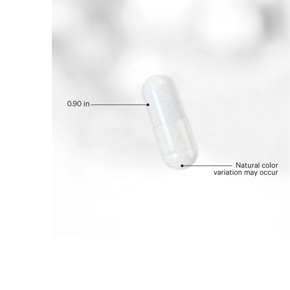 LIPOSOMAL NICOTINAMIDE RIBOSIDE PLUS