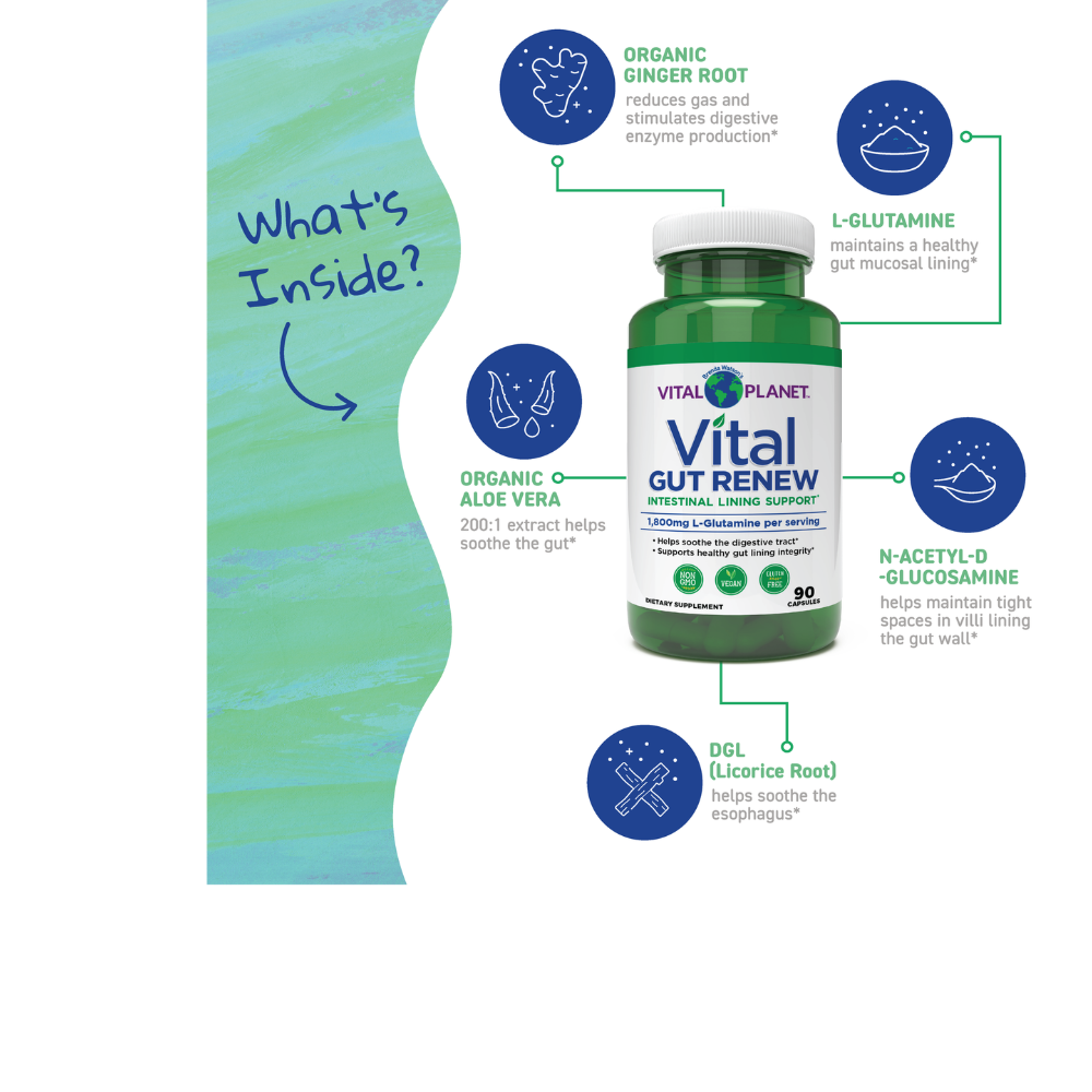 Vital GUT RENEW - Leaky Gut Repair