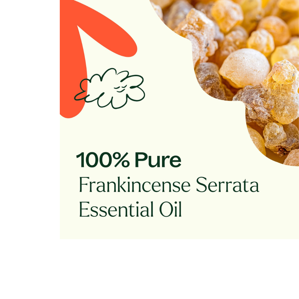 FRANKINCENSE SERRATA ESSENTIAL OIL