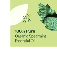 Thumbnail for Organic Spearmint Essential Oil