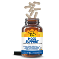 Thumbnail for MOOD SUPPORT