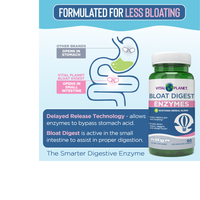 Thumbnail for Bloat Digest - Targeted Enzyme Supplement