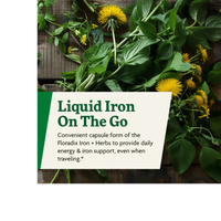 Thumbnail for Floradix Iron + Herbs Phyto-Caps