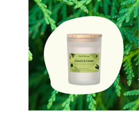 Thumbnail for CASSIS & CEDAR NATURALLY SCENTED CANDLE