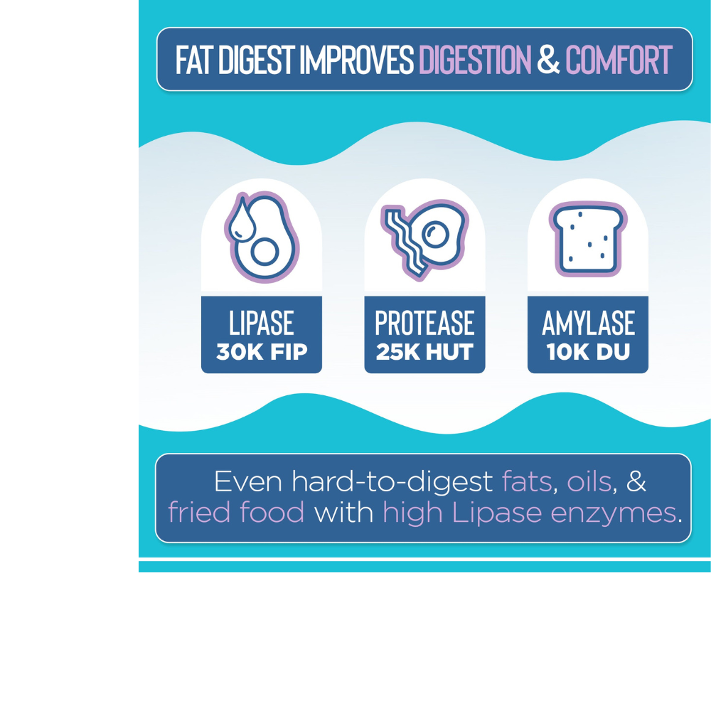 Fat Digest - Targeted Enzyme Supplement