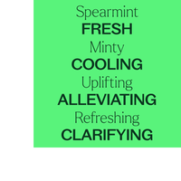 Thumbnail for ORGANIC SPEARMINT ESSENTIAL OIL
