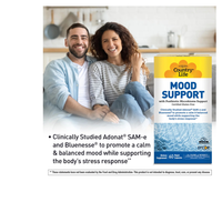 Thumbnail for MOOD SUPPORT
