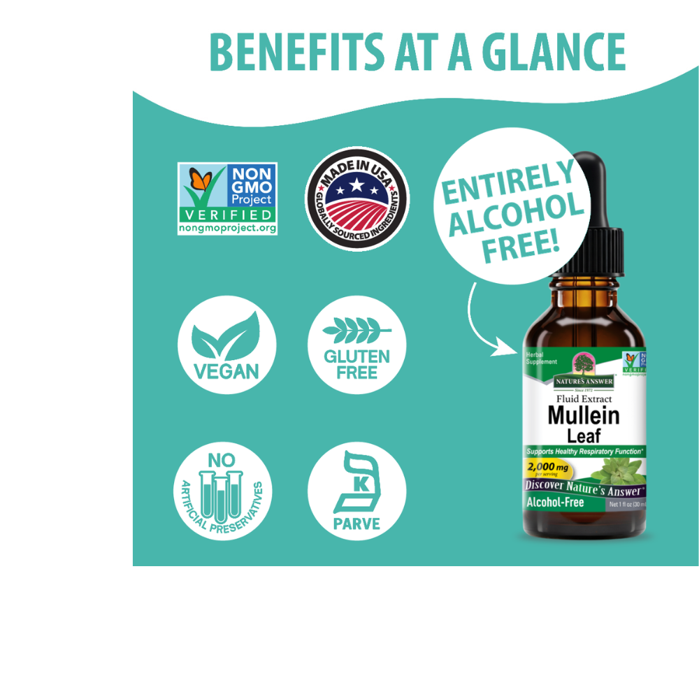 Mullein Extract - Alcohol Free Liquid