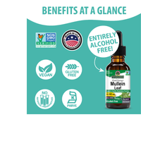 Thumbnail for Mullein Extract - Alcohol Free Liquid