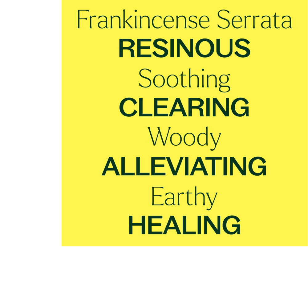 FRANKINCENSE SERRATA ESSENTIAL OIL