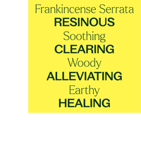 Thumbnail for FRANKINCENSE SERRATA ESSENTIAL OIL