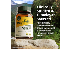 Thumbnail for Shilajit